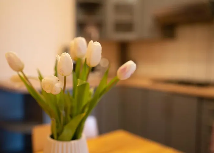 Accommodatie bij particulieren Nad Pizzeria